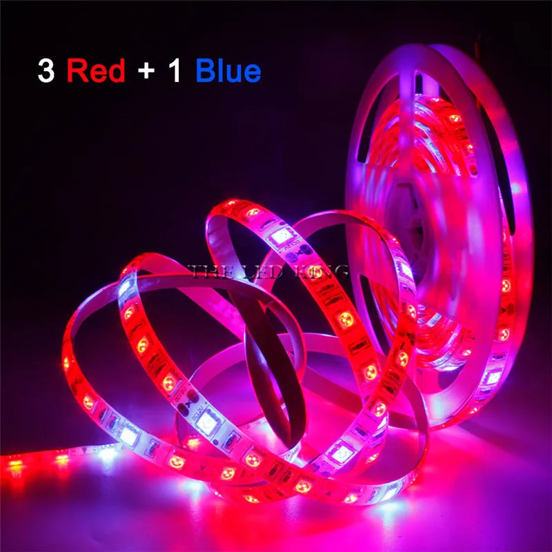 5m Phyto LED Grow Light 12V Full Spectrum LED Growing Diode Tape Lamp 5050 Strip Plant Phytolampy IP65 Flexible Aquarium grow light