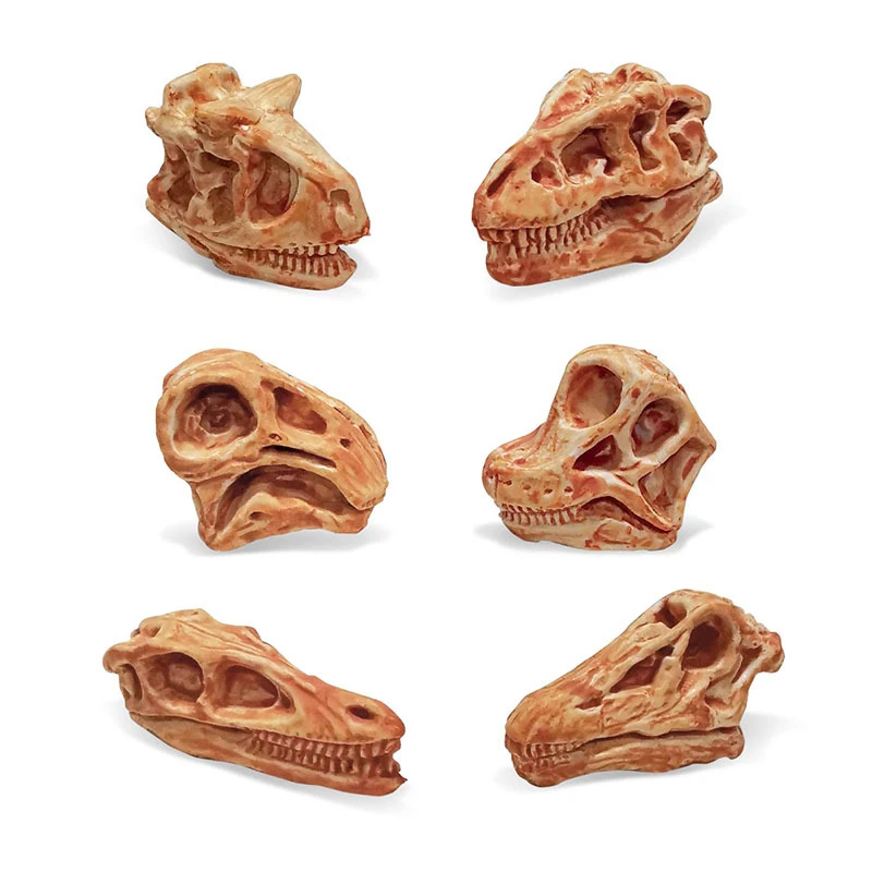 Dinosaur Toy Simulation Animal Skull Plastic Fossil Teaching Dinosaurs Skeleton Model for Collectors Craft Gifts Home Decor Toys 6