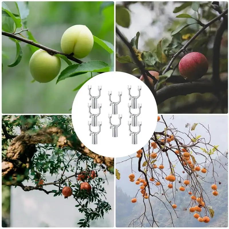 Branch Support For Fruit Trees 8pcs Crutch For Leaning Fruit Tree Y-Shaped Tree Supporting Tool Sloping Trees Ornamental