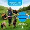 Explosion Proof Impact Elastic Buffering Adjustable One To Two Double Dog Leashes Dog Walking Accessories for Small Dogs 5