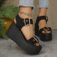 Thick Bottom Women's Wedge Heel Sandals Summer 2025 Buckle Strap Chunky Platform Sandals Woman Fashion Plus Size Beach Sandalias - Image 2