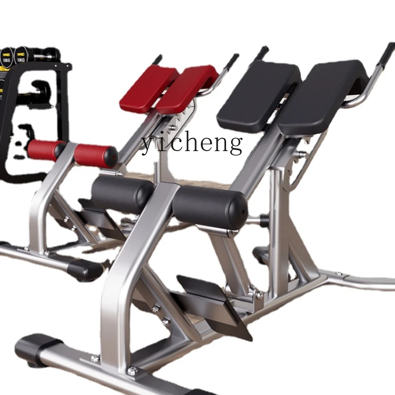 

YY Roman Chair Fitness Chair Back Hyperextension Device Waist Abdomen Back Trainer