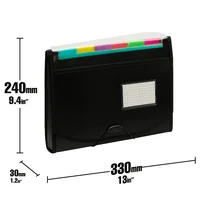 File Folders 13 Pockets, Expanding File Folders Organizer, Expandable Binder Document Organizer File Folder with Dividers Tabs 2