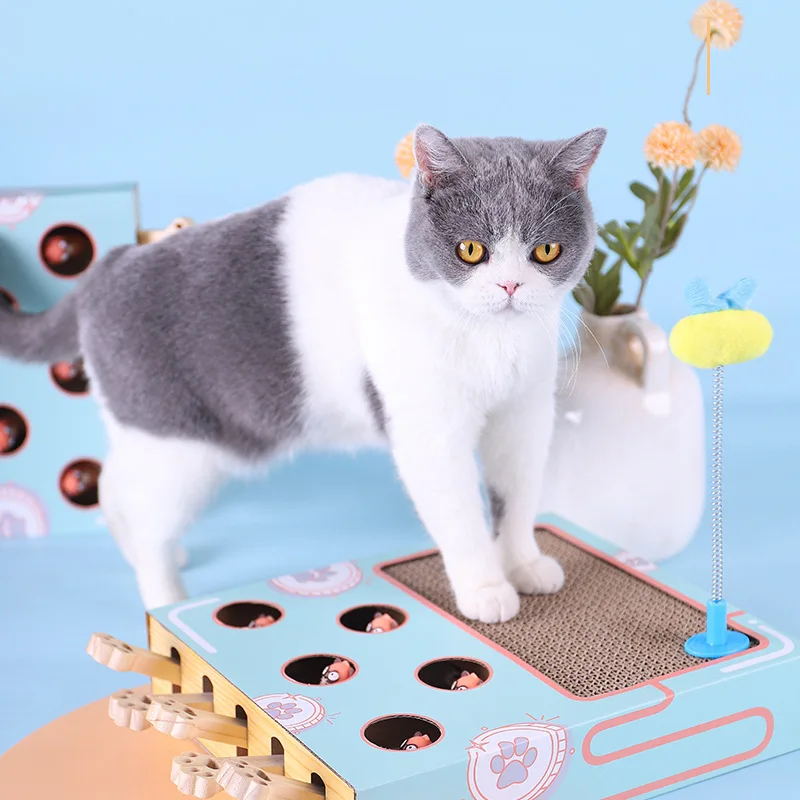 The 3 Best Cat Puzzle Toys & Interactive Cat Games
