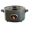 220V/1000W Integrated Household Electric Hot Pot ZG-YD217 Multifunctional Rice Cooker 3L Portable Desktop Electric Cooker 5