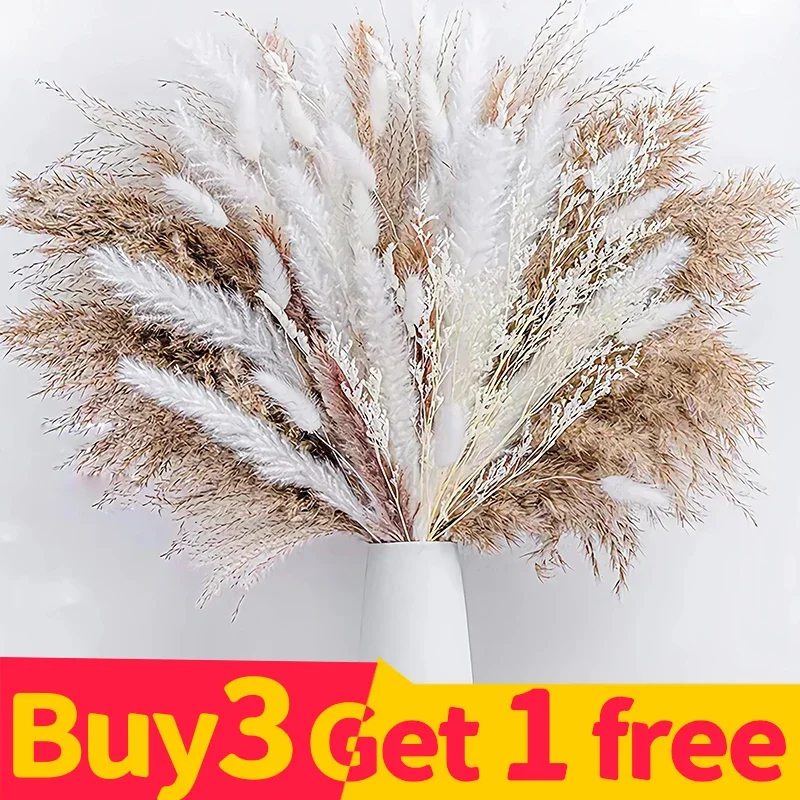 

Buy 3 Get 1 Free Natural Phragmites Dried Flowers Bouquet Pampas Grass Decoration Fluffy Wedding Arrangement Decoration