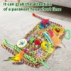 Bird Toys Handmade Bird Foraging Toys Fun Parakeet Toys Portable Parakeet Foraging Toy Parrot Chewing Toy Bird Parrot Toy 1x7.9 6