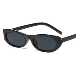 Vintage Oval Sunglasses for Women - Designer Mirror Fashion Shades (Other)