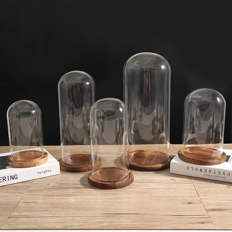 Dia 20cm Free Clear Handcrafted Glass Dome with Brown Wood Stand Home Decor Clear Oval Glass Domes with Base 3