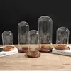 Dia 20cm Free Clear Handcrafted Glass Dome with Brown Wood Stand Home Decor Clear Oval Glass Domes with Base 3