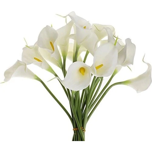 Nettenevime造花ウェットガラ真のeva素材カーラ花8li白 人工植物 Aliexpress