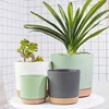 Plastic Flowerpot Flower Plant Pot Balcony Courtyard Potted Plants Bonsai Flowerpot with Drainage Home Garden Tray macetas 2