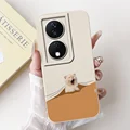 Case-c22
