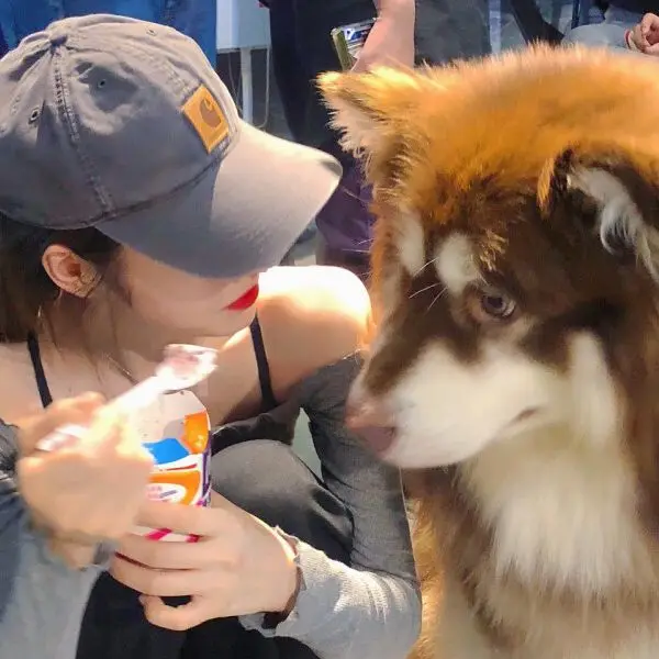 Pet Store Store