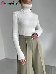 Thicken Women Turtleneck Sweaters Autumn Winter Tops Slim Women Pullover Knitted Sweater Jumper Soft Warm Pull Свитер Женский