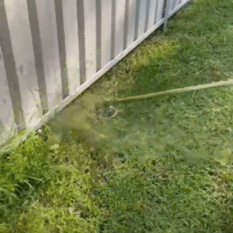 Description Picture 2 of itemSteel Wire Wheel Garden Weed Brush Lawn Mower Grass Eater Trimmer Brush Cutter Tools Garden Grass Trimmer Head Weed Brush