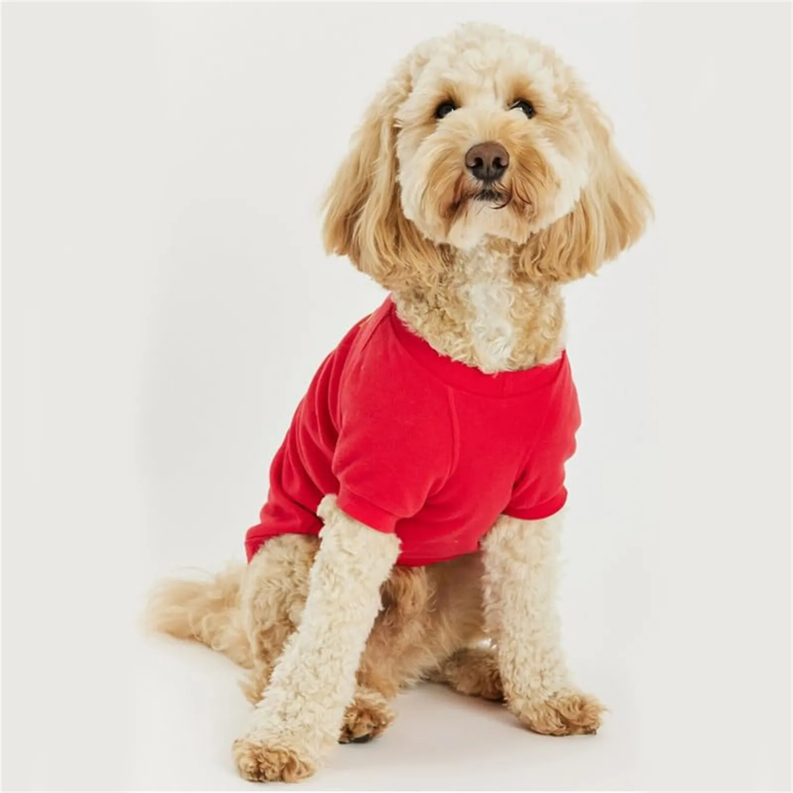 Dog Costume Set Spring Pet Dogs Hoodies French Bulldog Clothes Mickey Minnie Puppy Small Medium Sweatshirt Chihuahua Puppy Pug