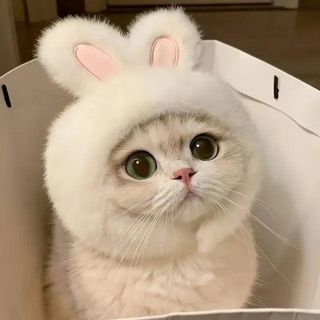 1pc Bunny Ears Cat Hat Themed Pet Costume Knit Fabric Set Comfortable Polyester Pullover Headwear for Cats & Small Dogs 2
