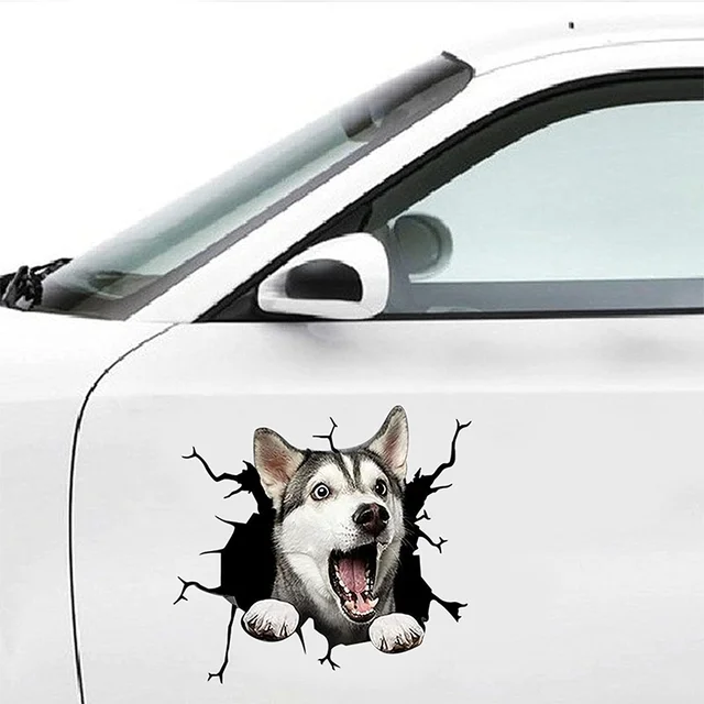 Autocollant de voiture bouledogue anglais, chapeau de chien, monsieur  cigare, sparadrap de décoration de voiture adapté à différents modèles  noir/blanc, 16cm * 15cm - AliExpress