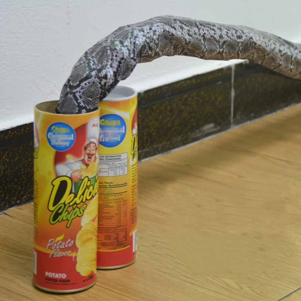 Jouet Farce Serpent à Ressort - Fausse Boîte Pringles - Blague Et Illusion - 22cm - Animation Fête