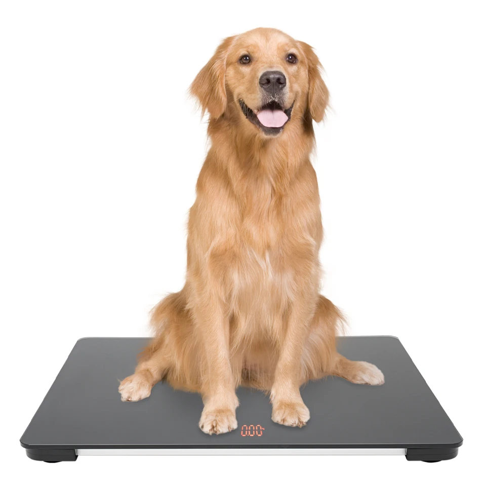 Digital Pet Scale with Precision Weight Measurement