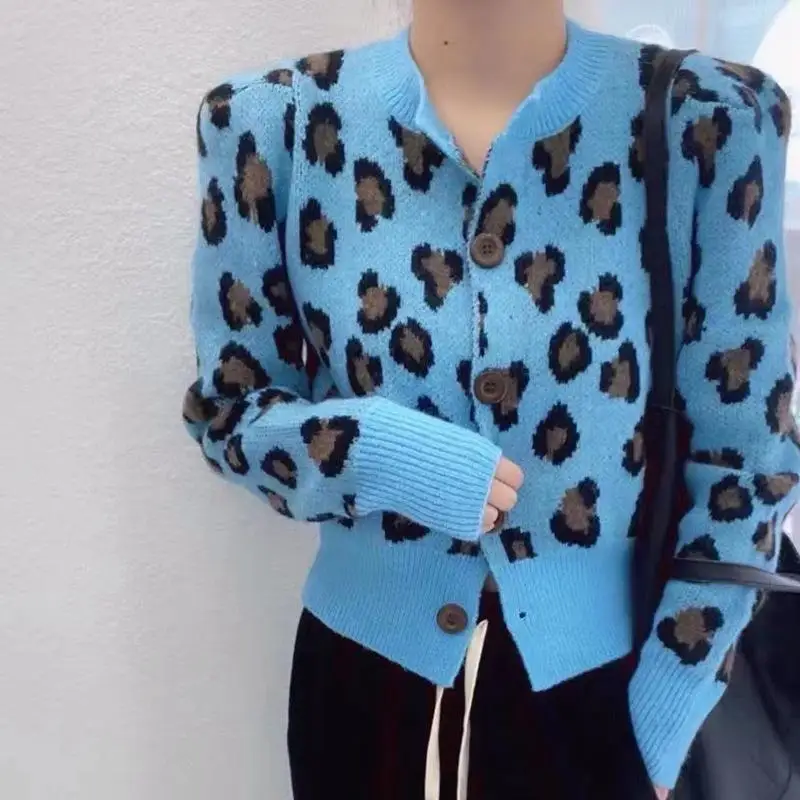 ������ ��Ƽ�� ª�� ��Ʈ ī���, ũ��� ȣ�ǹ��� �Ƿ�, ������ ������ ��Ŷ, �ѱ� 2022, ����, �ܿ�