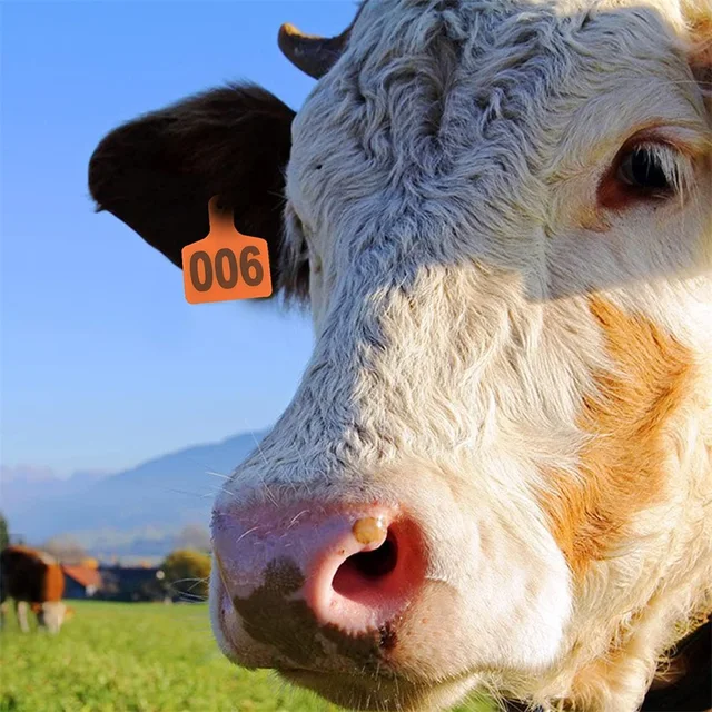 100 Targhette Auricolari Vuote Per Bestiame - Colore Rosso, 7.5x6 Cm, Con Perini Inclusi - Foto 3