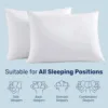Tex Stead Goose Down Pillow 100% Cotton Set Bed Pillow, Luxury Hotel White Pillow Core, Comfortable and Warm 2-Piece Set 2