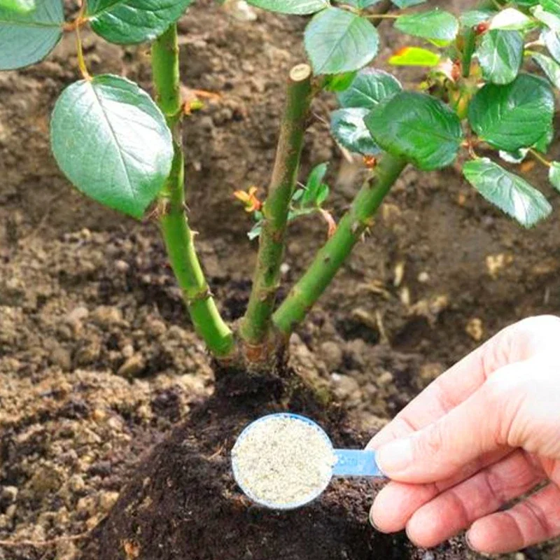 Rapid rooting powder fast rooting powder for extra fast root plant flower transplant fertilizer plant grow improve survi