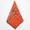 Orange Bandana
