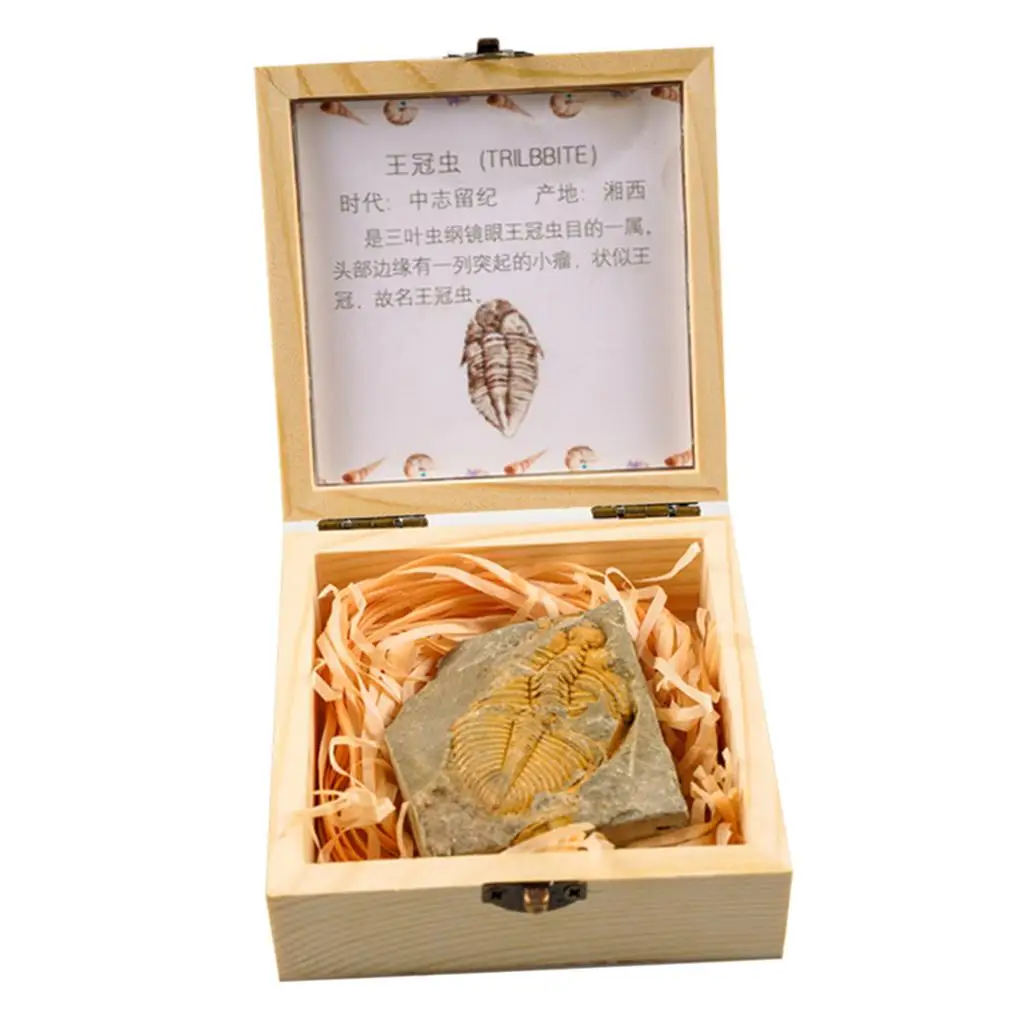 S16ea8166fdcf415ca91bb53a82b54