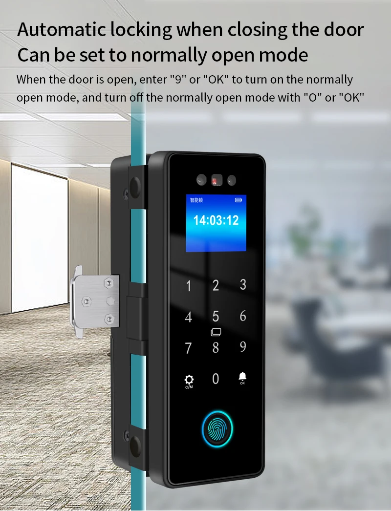 3D Face Recognition Smart Lock Tuya APP WIFI Infrared Sensor Biometric Electroni