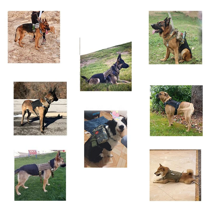    , ⼺   , ũ  , Ʒ     ϳ׽, K9 ϳ׽