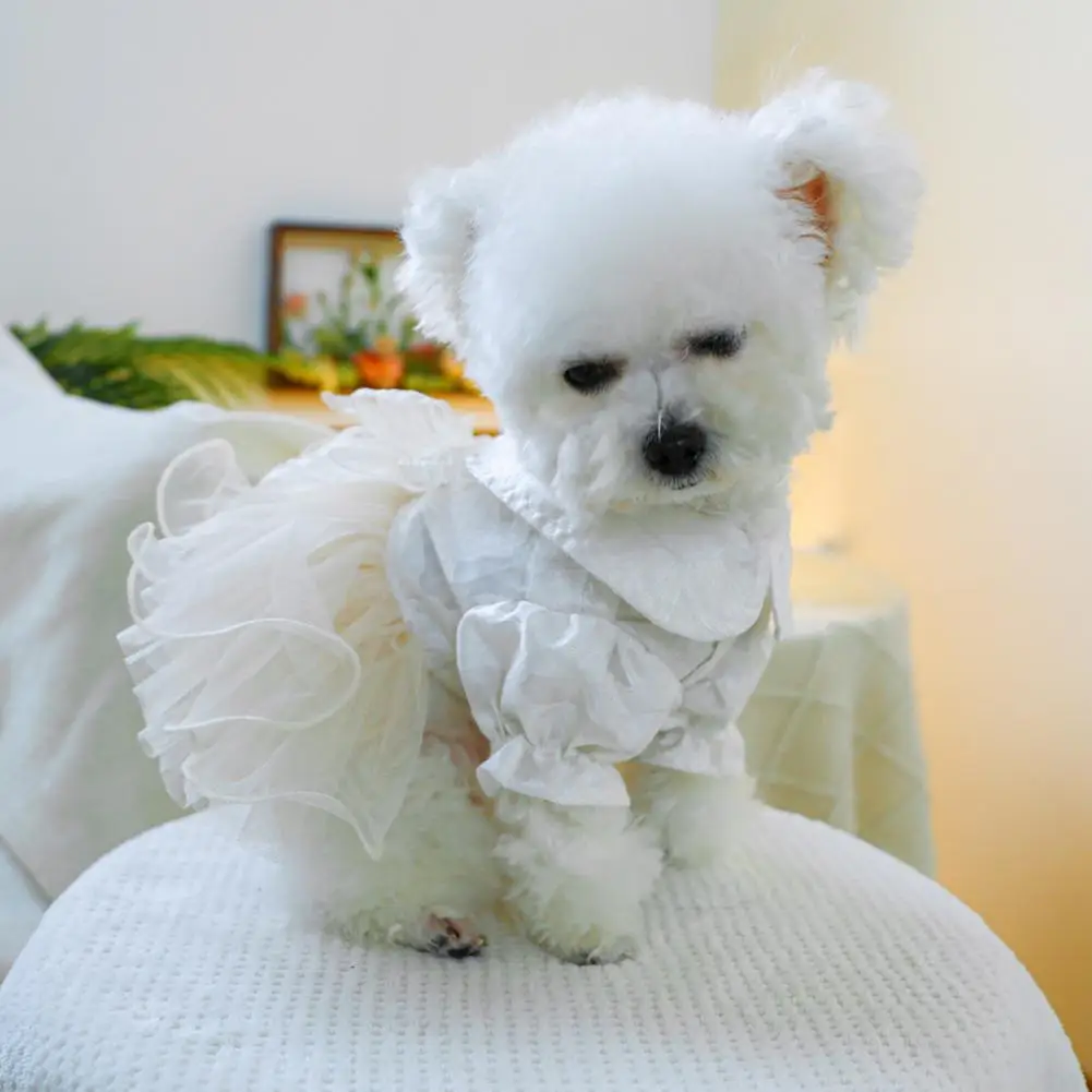 

Fine Workmanship Dog Apparel Elegant Spring Summer Dog Princess Dress with Bowtie for Small Medium Dogs Breathable Wedding Pet