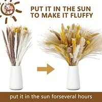 100Pcs Premium Dried Flowers Pampas Grass