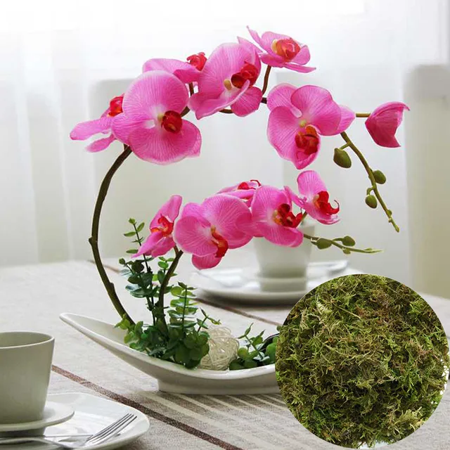 Kerti Ellátás Sphagnum Moha Mohát Hidratáló Táplálkozási Szerves Műtrágya Phalaenopsis Orchidea Szárított Víz Mohás - Image 4