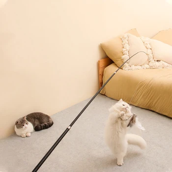 Telescopic Feather Cat Wand 1