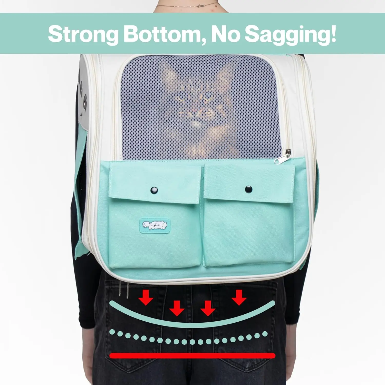 Teal Airline-Approved Backpack Pet Carrier – Travel Bag for Cats & Small Dogs (Up to 22 lbs)