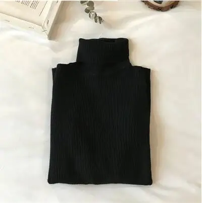 Autumn Winter Thick Sweater Women Knitted Pullover Ribbed Sweater Long Sleeve Turtleneck Slim Warm Soft Pull Femme Jumper 2021 brown cardigan Sweaters
