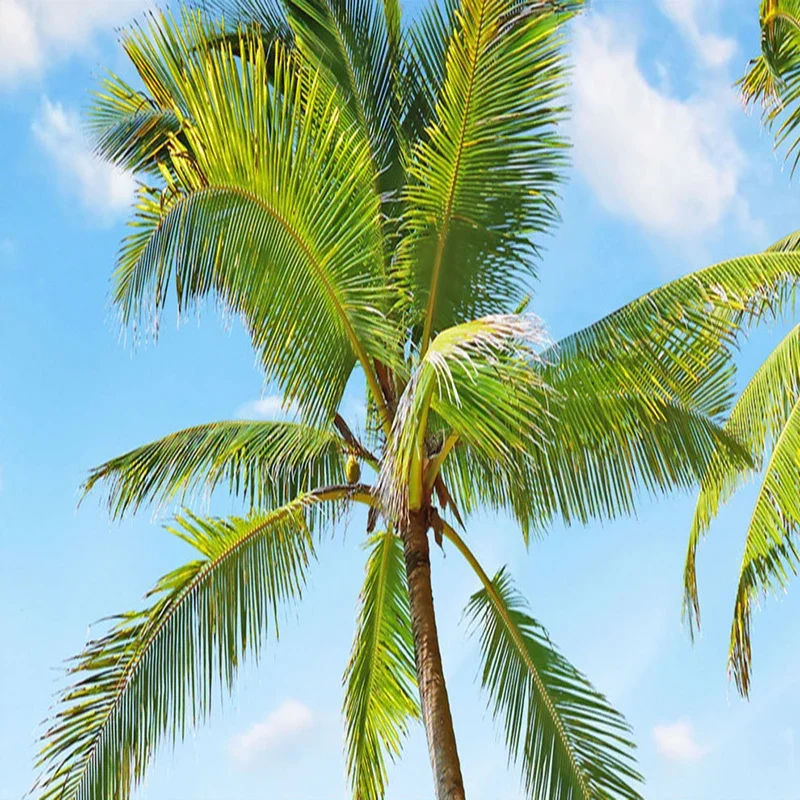 para quarto sala de estar mural fundo 03