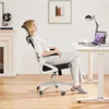 High Back Ergonomic Mesh Office Chair with Adjustable Padded Headrest, White/Black 5