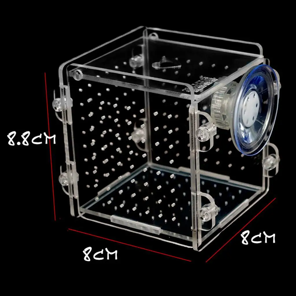 Acrylic Breeder Isolation Divider Hatching Boxes Accessory for Small Baby Fishes Shrimp Clownfish Guppy
