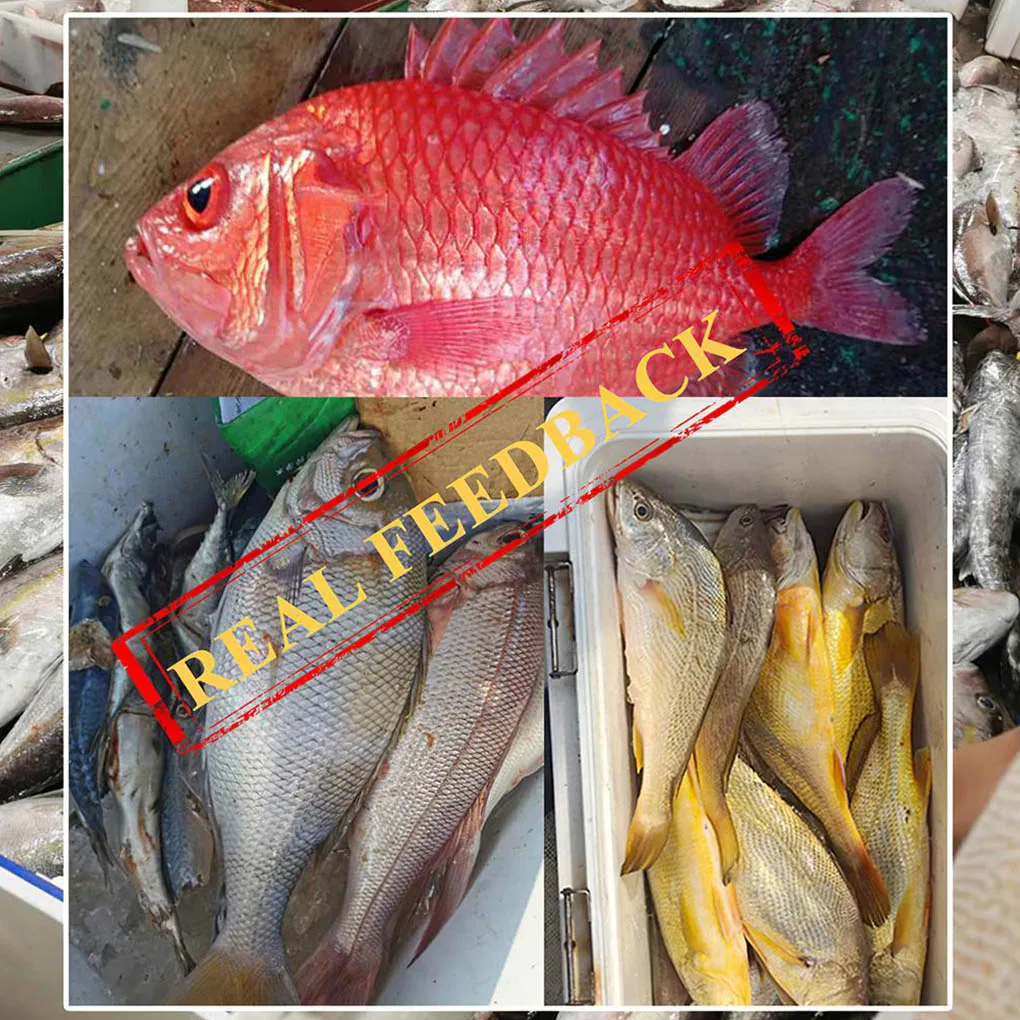 Slide image 81cd03f8cf2941ea9b41222ddcb67d17