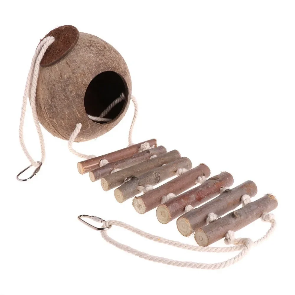 Coconut Shell Bird Nest 3