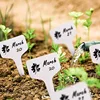 Mini Gardening Tool Set Label Board Plastic Garden Plants Household Succulent Potted Plant Cultivation Drilling Sowing TMZ 5
