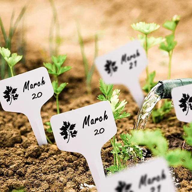 Mini Gardening Tool Set Label Board Plastic Garden Plants Household Succulent Potted Plant Cultivation Drilling Sowing TMZ 5