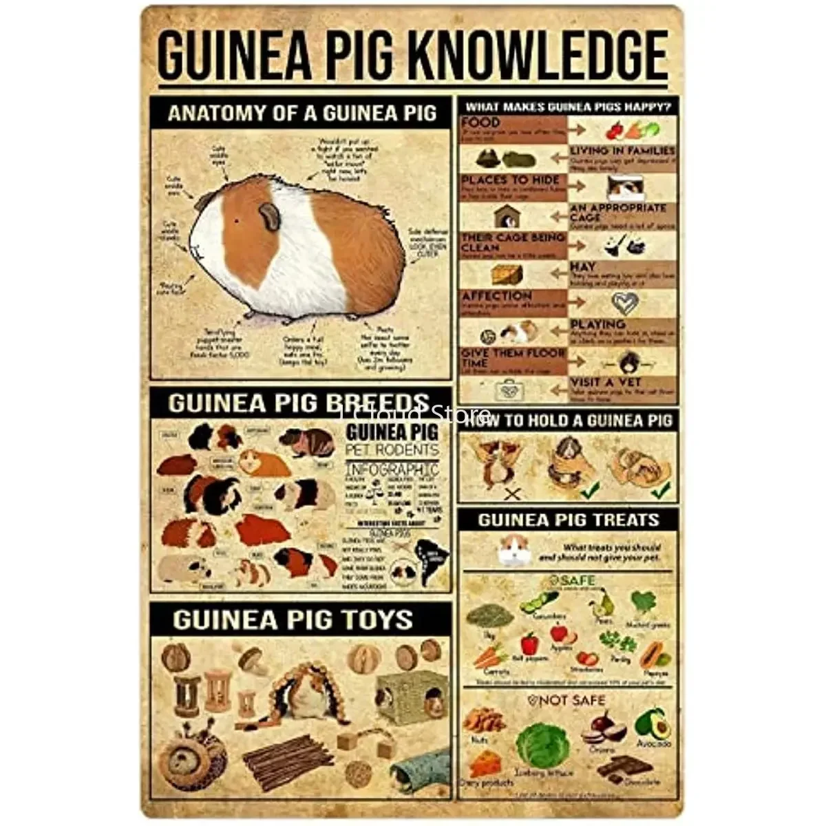 

Guinea Pig Knowledge Metal Tin Signs Guinea Pig Infographic Posters Animal Encyclopedia Plaque Decoration Classroom