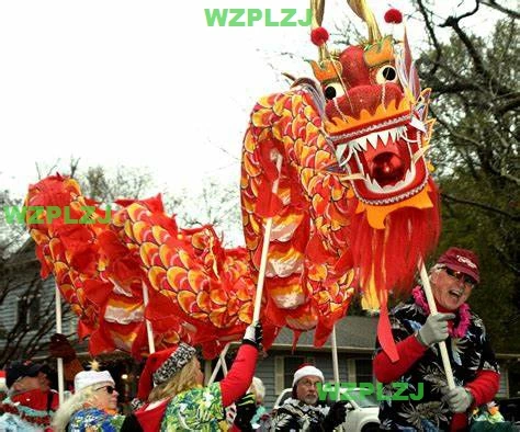 Adult 6m China Dragon Dance Costume Silk 4 Players size 4 Outdoor Creative Game Sports Toys Event Park Performance Festival