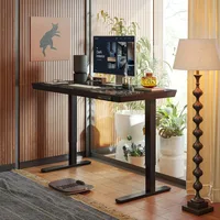 55 × 24 Electric Standing Desk with Drawers, Whole-Piece Glass Adjustable Height Desk, Office Desks 1