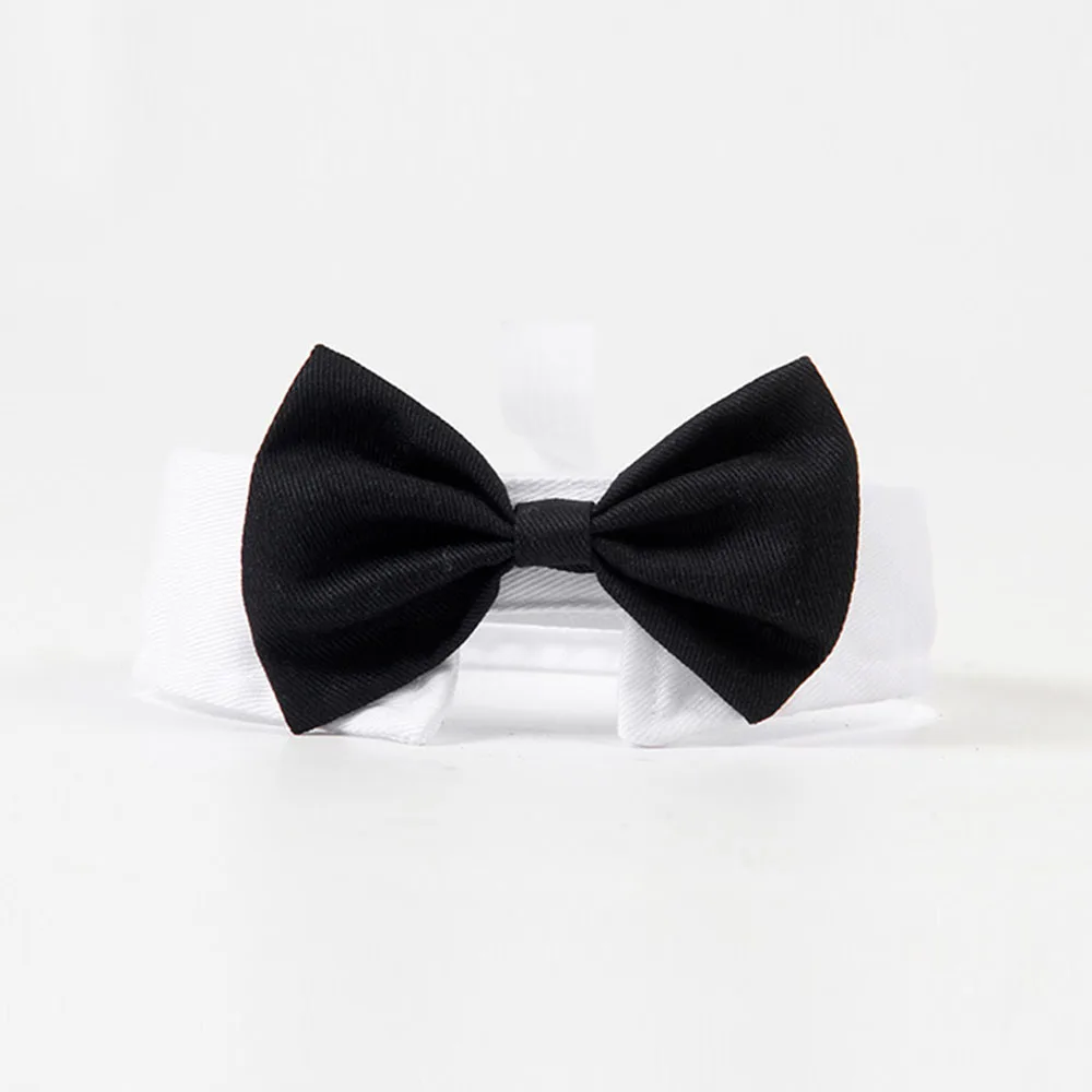 Small Adjustable Pet Bowtie Collar 2